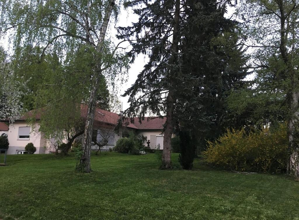 Schoene Ferienwohnung 2,5 Zimmer In Stadtnaehe Mit Eigenem Hofgarten Balingen Buitenkant foto